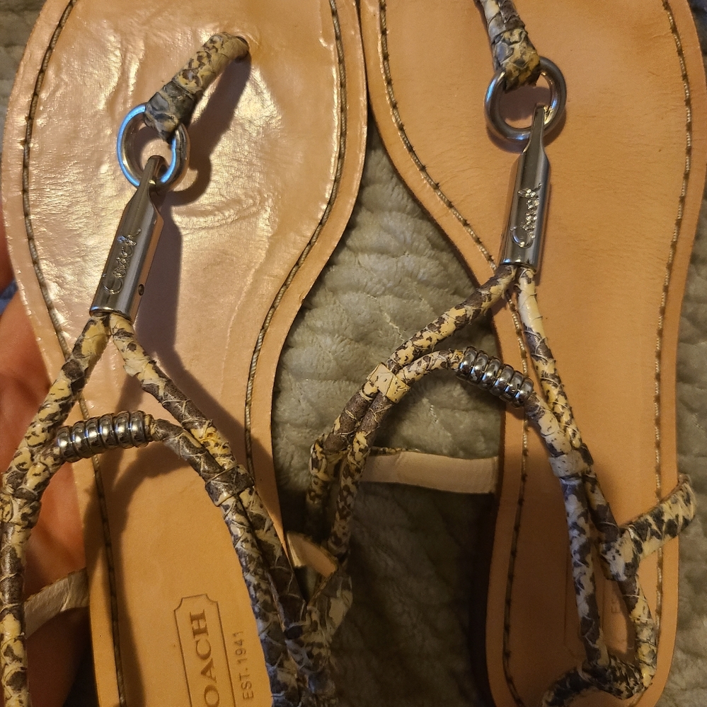 COACH Opal Snakeskin flat sandals size 7B - Picture 2 of 3